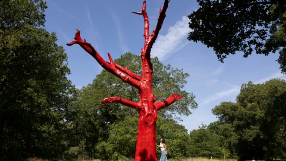 The "Climate Changed Oak Tree" was painted red after dying in the drought of 2022 stands in Kew Gardens, west London