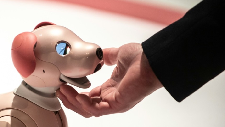 Aibo dogs can perform tricks like waving and mimicking its owner