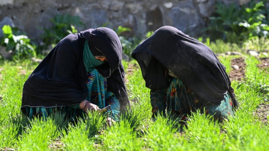In northeastern Afghanistan women farmers are playing a vital role in the survival of their communities