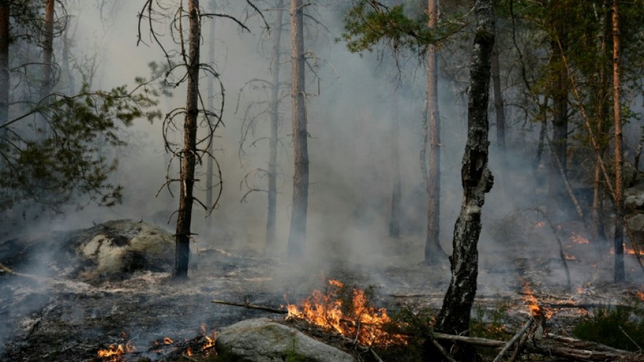 The forest is usually hugely popular with climbers