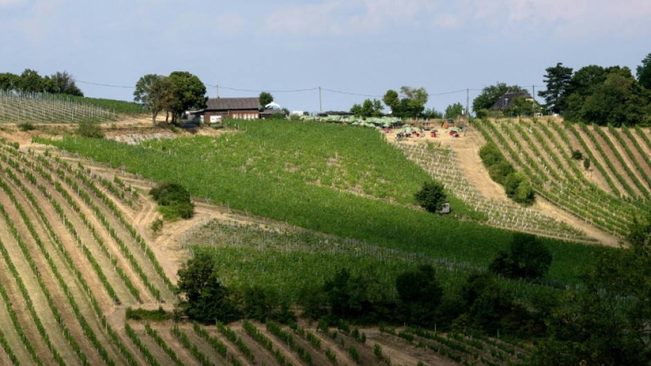 Vienna's "heuriger" wine taverns gained UNESCO listing in 2019