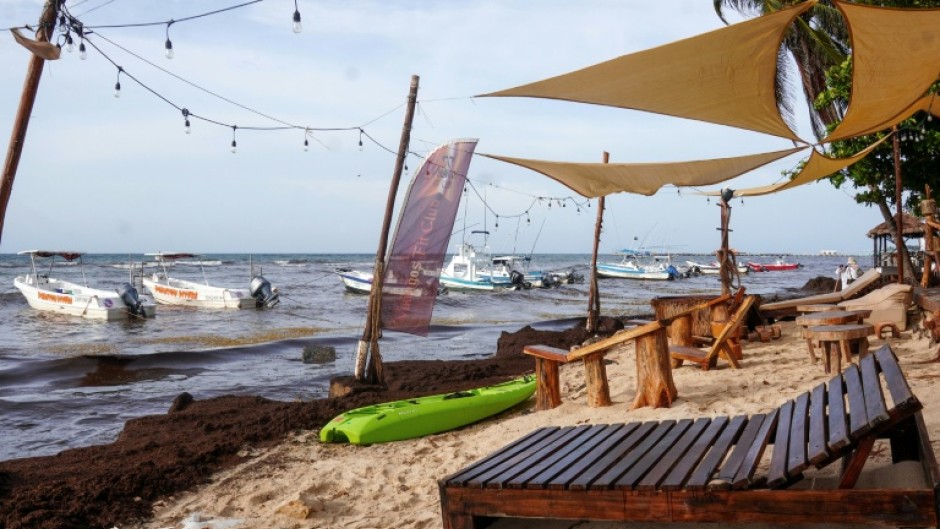 Sargassum covers the beach in Playa del Carmen on June 18, 2025