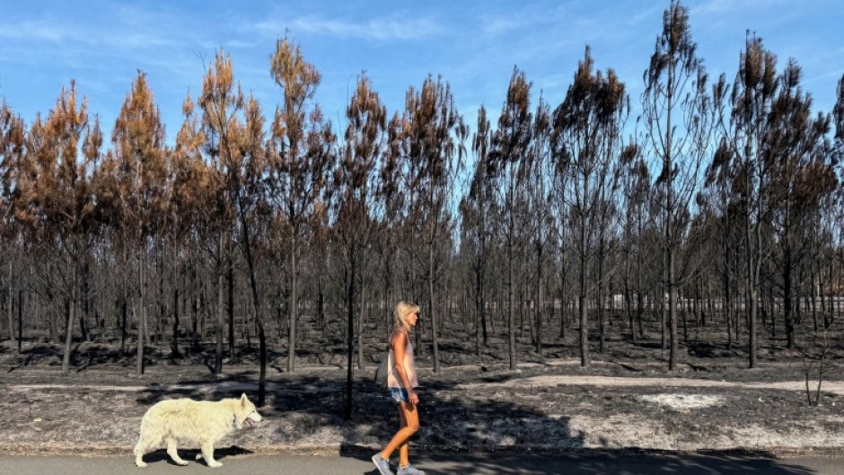 The Arcachon fire incinerated some 42,000 hectares (104,000 acres) of pine forest along the Atlantic coastline, destroying some 240 homes in its wake