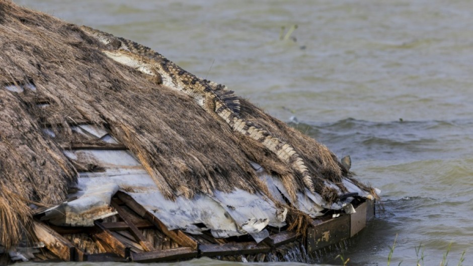 Crocodiles and hippos are moving closer to homes as lake water expands in Kenya's Rift Valley