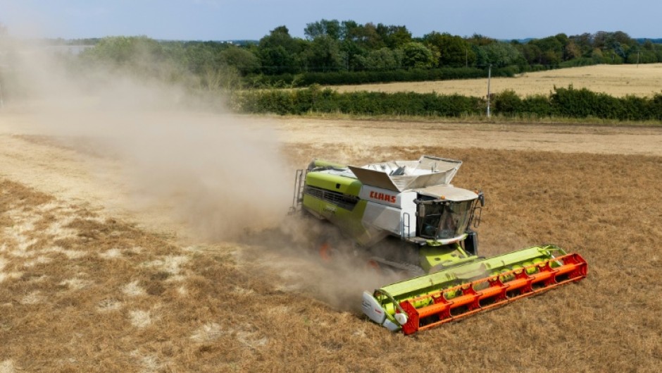 Dust clouds form around a combine harvester at Shimpling park farm in eastern England as it harvests a crop in a parched field