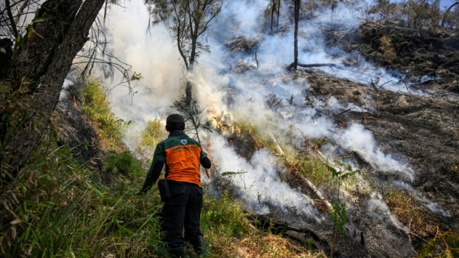 A wildfire has razed 176 hectares in Indonesia's Bromo Tengger Semeru National Park, which lies near Mount Bromo in East Java