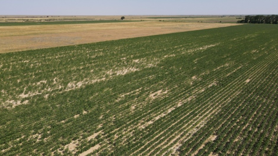 Kazakhstan has been grappling with severe droughts and water shortages