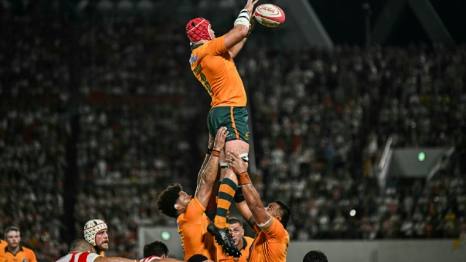 Harry Wilson (top C) returns to captain Australia against Argentina this weekend