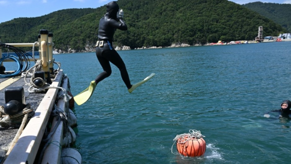 South Korean haenyeo Jin So-hee dives into the sea in the South Korean coastal town of Geoje