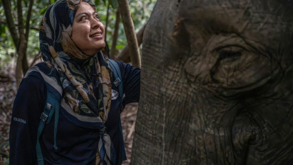 Farina Othman, a Borneo elephant conservationist and founder of Seratu Aatai, talks to a female elephant after a GPS collaring operation carried out as part of a collaboration involving several agencies near the Kinabatangan River in Sukau