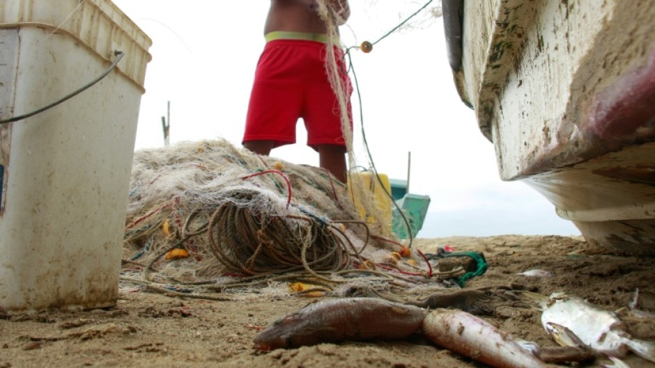 Ecuadoran fishermen are used to netting big tuna like albacore and bonito but as El Nino turns up the heat are finding only small specimens in their half-empty nets