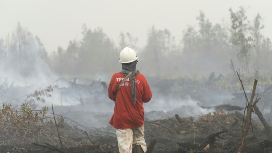 A volunteer firefighter looks at smouldering peatland in Benipis, Ketapang Regency, West Kalimantan