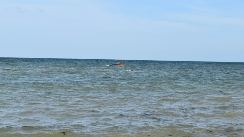 The International Organization for Migration released a photograph of the wreck