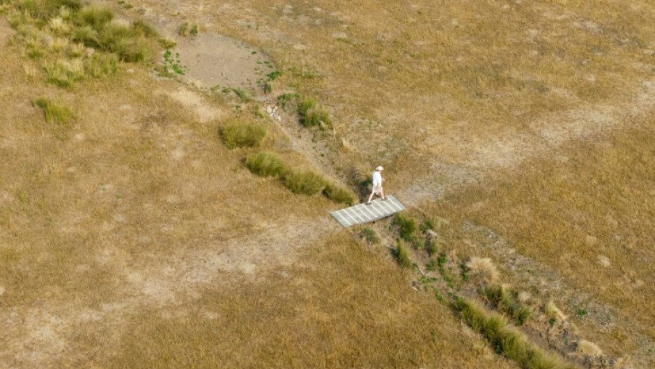 An aerial photograph shows a person walking over a dried up stream beside sun scorched grass at Richmond Park, in London in August