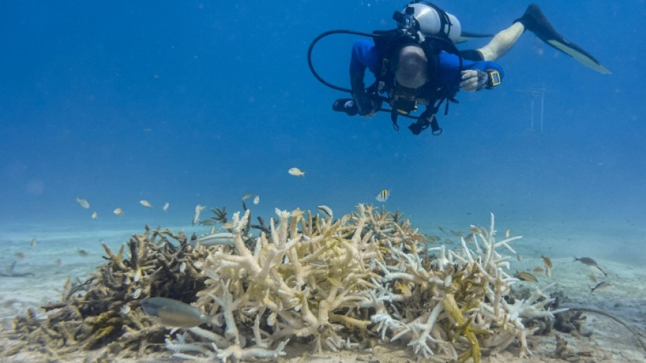 Marine scientist David Obura said the exceptional El Nino pattern building strength in the tropical Pacific could drive vulnerable coral species even closer toward extinction.