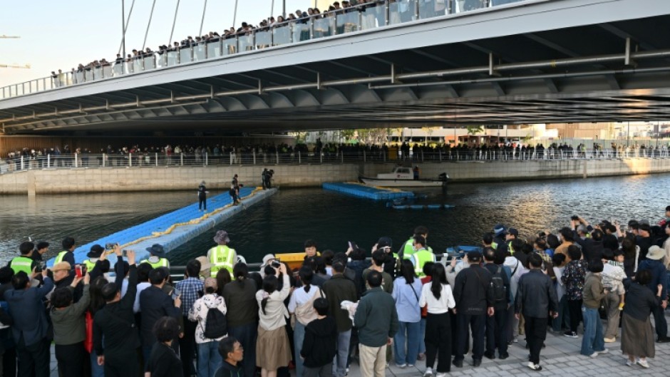 Visitors watch Wednesday's bid to guide a 3.5-metre shark back to the sea after it became trapped in an artificial waterway in the southeastern port city of Busan