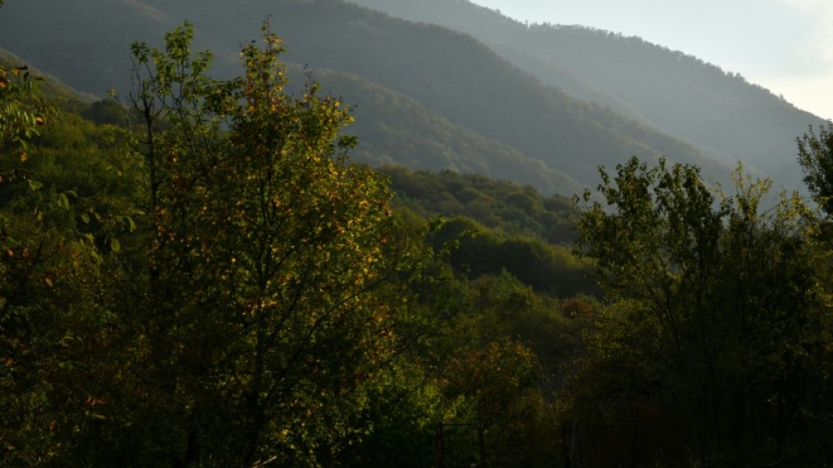 A battle over the fate of a forest has exposed tensions between Armenia and Azerbaijan