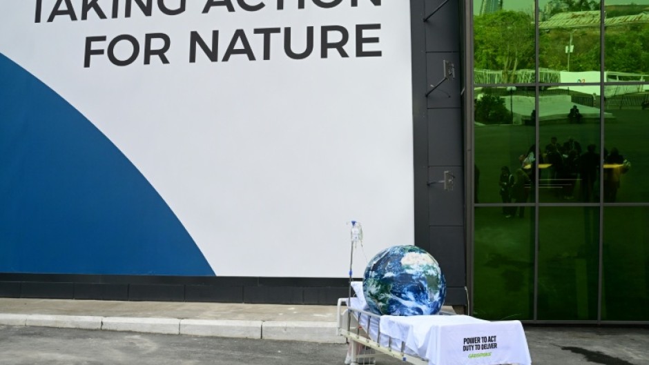 The UN nature summit concludes Friday but nations are still trying to reach a deal as the clock ticks down.