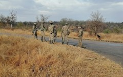 eNCA's Slindelo Masikane in Mpumalanga with cameraman Tebogo Masilo to explore what it's like to travel during a pandemic. First stop, the Kruger National Park.