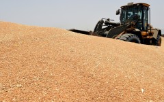The United Nations has called a meeting to deal with the worsening global food crisis, exacerbated by the war in Ukraine as well as India's ban on wheat exports