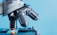Microscope