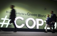 cop29