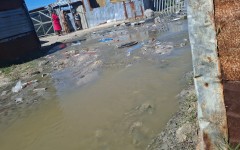 The sewage flooding the Makhaza homes. eNCA/Nobesuthu Hejana