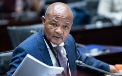 Police Minister Senzo Mchunu at the Parliamentary Ad Hoc Committee inquiry. Brenton Geach/Gallo Images via Getty Images
