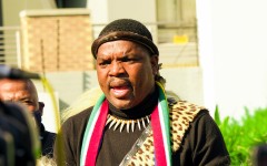 Ngizwe Mchunu