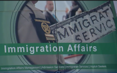 Immigration Affairs