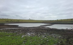 The Cwili Dam is effectively depleted. eNCA/Ronald Masinda