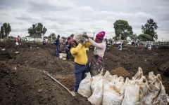 A woman grimaces as she is helped to load a sack of soil on her shoulder in a patch of land where artisanal miners look for gold outside Springs, Ekurhuleni, on February 15, 2026.
