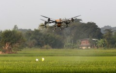 A drone sprays fertiliser over a rice field. Chaiwat Subprasom/NurPhoto via AFP
