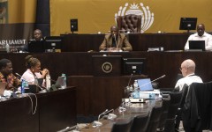 Parliament's SAPS Ad Hoc Committee. Brenton Geach/Gallo Images