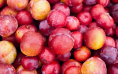 South Africa's plum varieties enter Chinese market 
