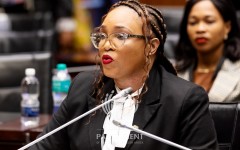 Ad Hoc Committee on Mkhwanazi: Lt Gen Hilda Senthumule, acting Dep Nat Commissioner for Crime Detection & Div Commissioner for Detective & Forensic Services is our witness today. Photo by Zwelethemba Kostile/Parliamentof RSA