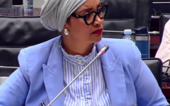 ActionSA MP Dereleen James has labelled accused controversial forensic investigator Paul O’Sullivan a lying under oath.