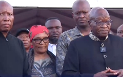 Julius Malema and Jacob Zuma