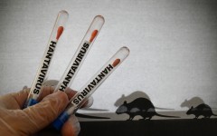 Hantavirus 3
