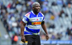 Stormers forward Scarra Ntubeni.  Grant Pitcher/Gallo Images 