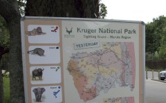 Kruger National Park. Gallo Images
