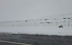The heavy snow has also sparked a major tourism boom by drawing crowds eager to witness the rare winter landscape.