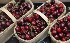 Cherries in baskets. Creative Touch Imaging Ltd/NurPhoto via AFP
