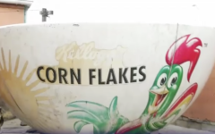 Kellogs cereal bowl