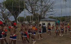 Umkhosi Womhlanga