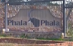 President Cyril Ramaphosa's farm Phala Phala.