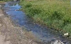 Sewerage flowing down the road in Matjhabeng.
