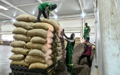 The cocoa sector accounts for 14 percent of Ivory Coast's GDP