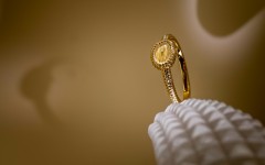 The salon opens its doors to the public for the final three days