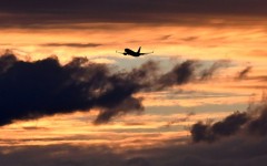 A photo taken on May 7, 2026 shows a Qantas Boeing 737 departing Melbourne's Tullamarine Airport
